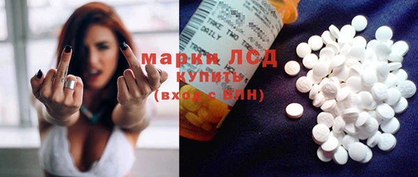 гашик Белая Холуница