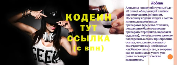 гашик Белая Холуница