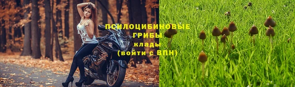 мдма Бежецк