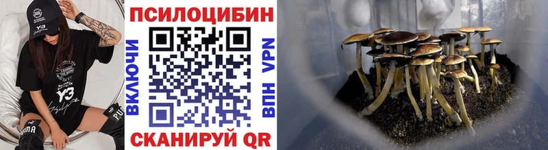 blacksprut маркетплейс  Макушино  площадка какой сайт  Псилоцибиновые грибы мухоморы 