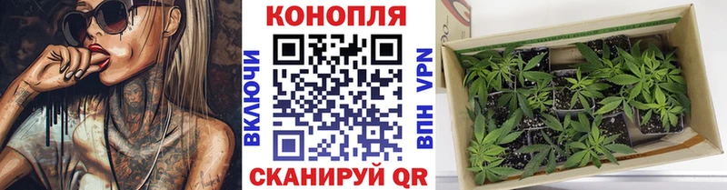 Бошки Шишки AK-47  Макушино 